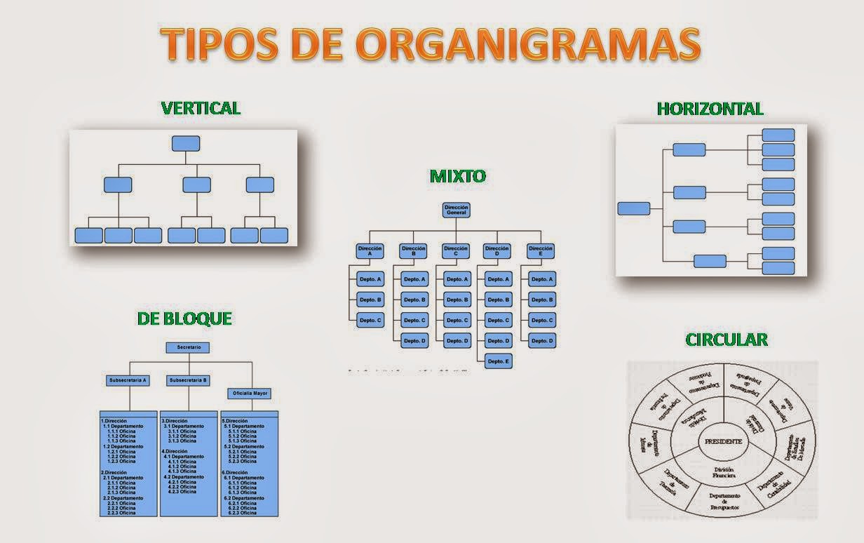 Ideas De Organigramas Y Tipos Organigrama Estructura Organizacional CLOOBX HOT GIRL